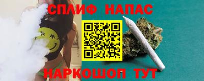 spice Аша