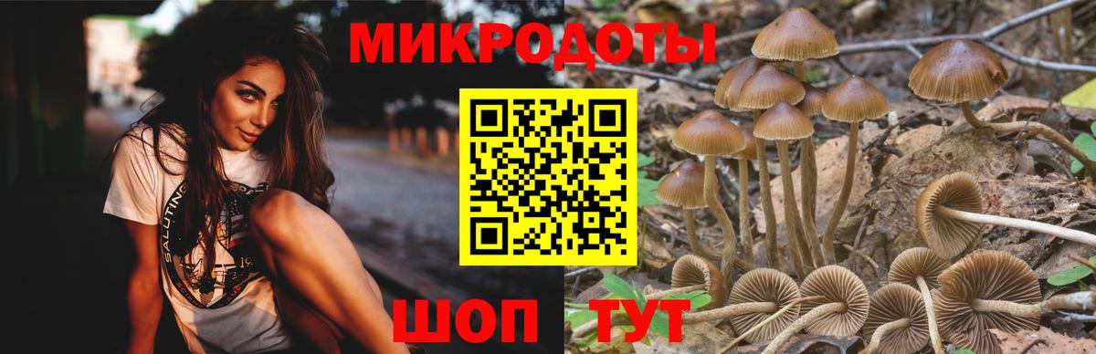 Галлюциногенные грибы GOLDEN TEACHER  Галлюциногенные грибы мицелий  где купить наркоту  Миллерово  Вход с VPN 